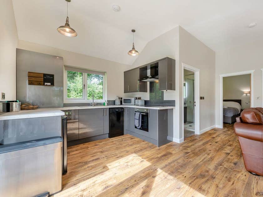 Open plan living space | Dwrgi - Glanyrafon Lodges, Cwrt Newydd, near Llandysul