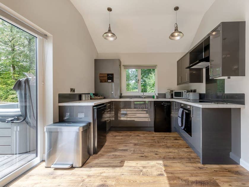Kitchen area | Dwrgi - Glanyrafon Lodges, Cwrt Newydd, near Llandysul
