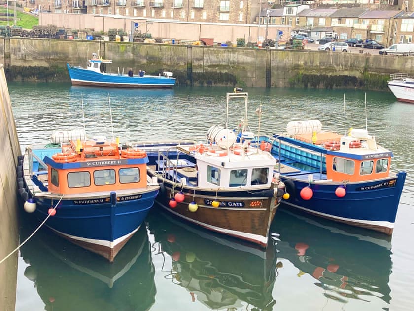Fishing boats in the harbour | Dipper Cottage, Seahouses