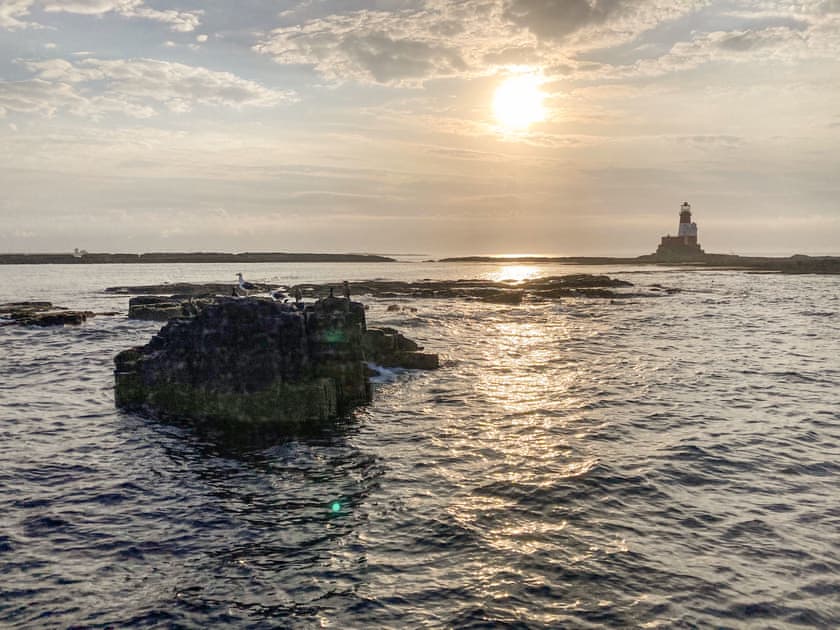 Boat trip to the Farne islands | Dipper Cottage, Seahouses