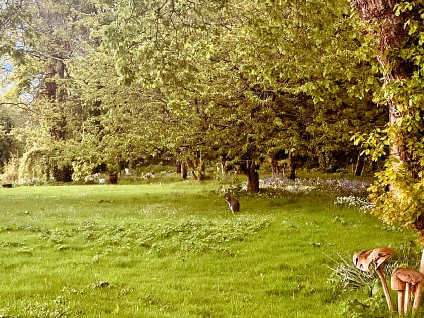 A wild wallaby within the gardens | Bumblebee Cottage - Ballavolley Cottages, Ballaugh
