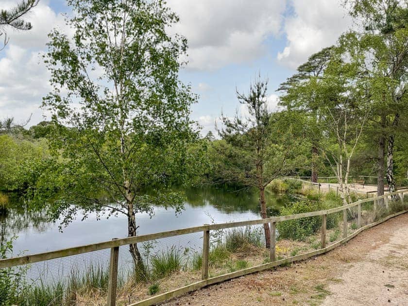 Setting | Tullochwood Lodges, Rafford, near Forres