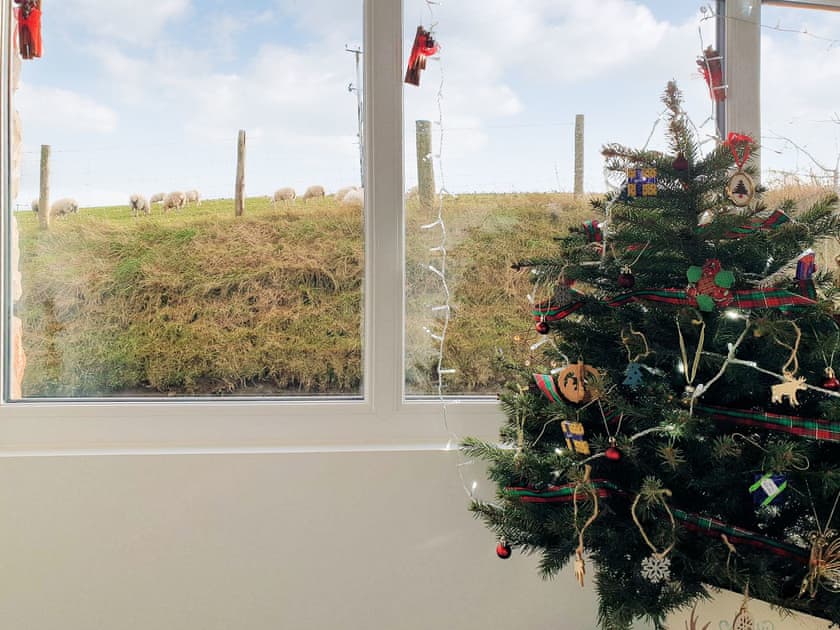 Christmas | Penrallt, Rhydlydan, near Betws-Y-Coed