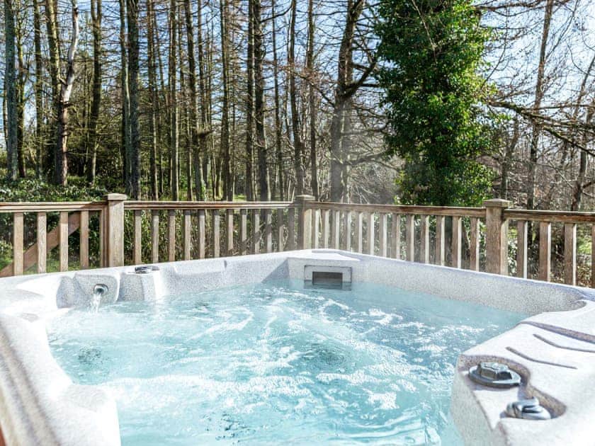 Hot tub | Lord Galloway Lodge 31 - Conifer Lodges, Newton Stewart