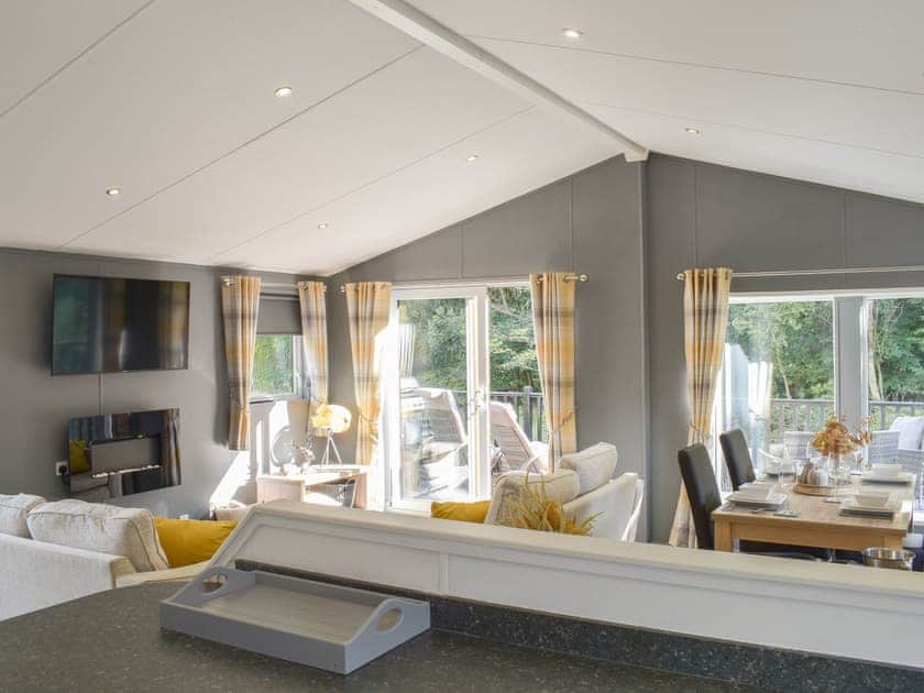 Open plan living space | Devin Lodge, Dollar