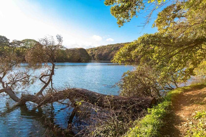 Bethel Cottage - Tregothnan Properties, Coombe