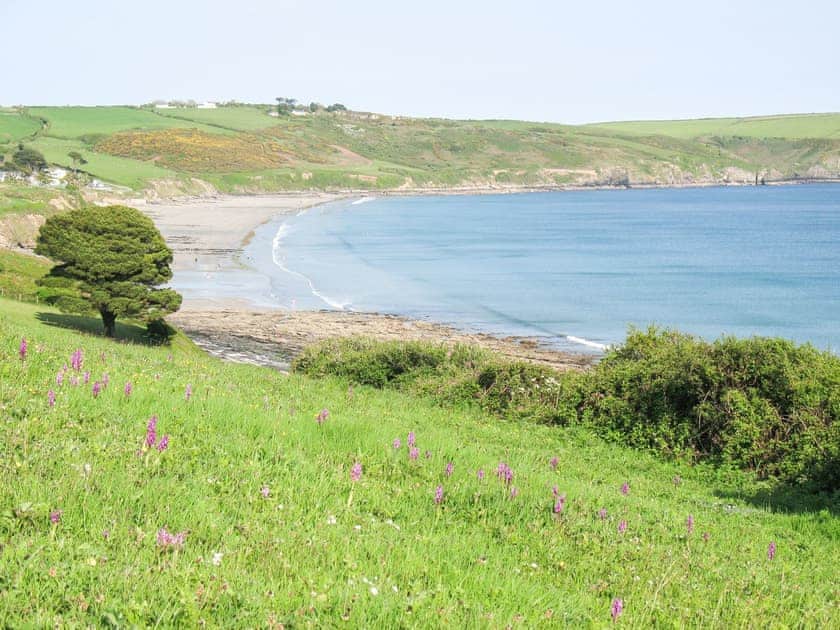 Surrounding area | Greenbank, Veryan