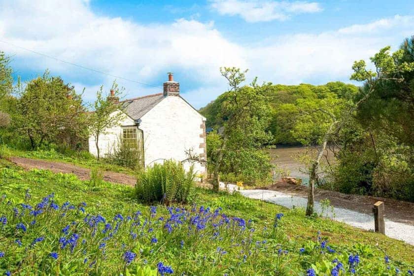 Penjerrick - Tregothnan Properties, Coombe