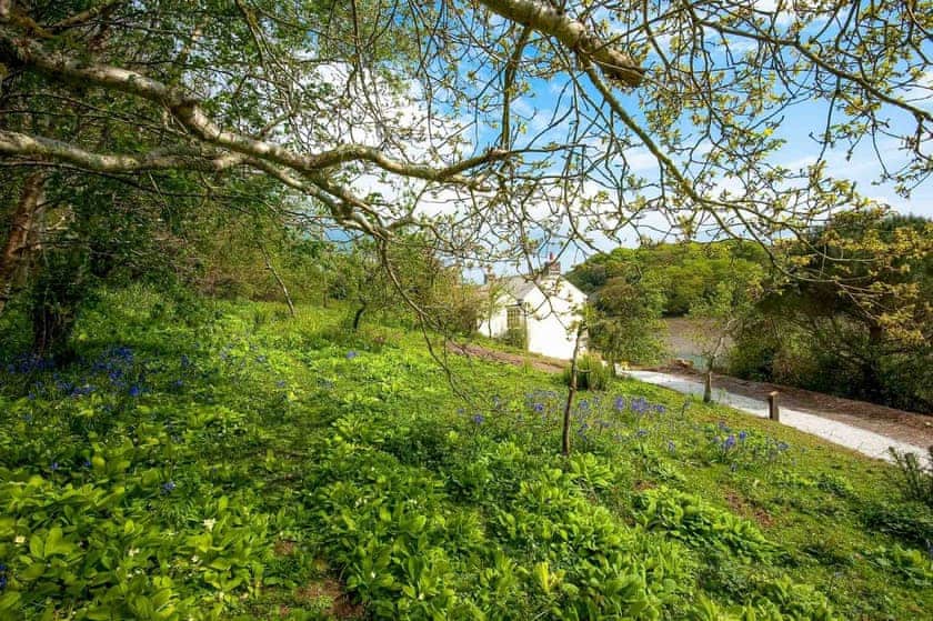 Penjerrick - Tregothnan Properties, Coombe