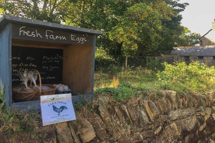 Towan Cottage - Carnebo Holiday Barns, Perranporth
