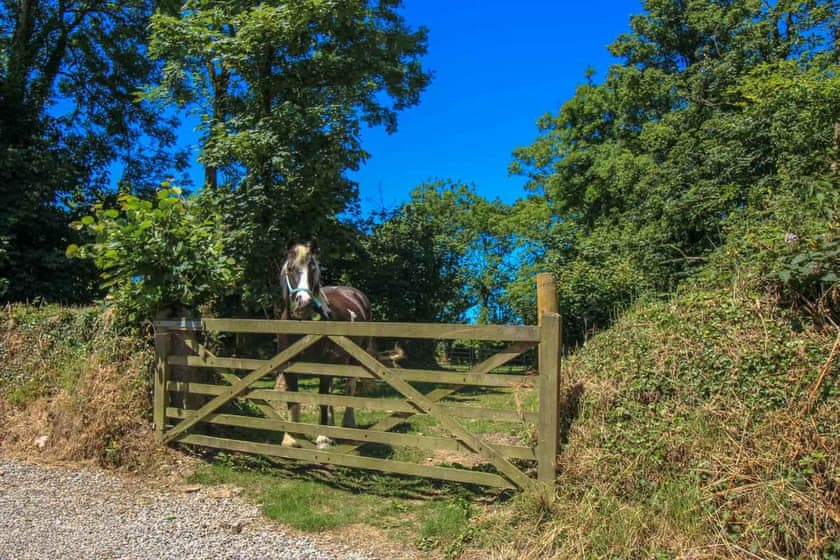 Tizzy Barn - Great Trevillian Farm Barns, Warbstow, near Crackington Haven