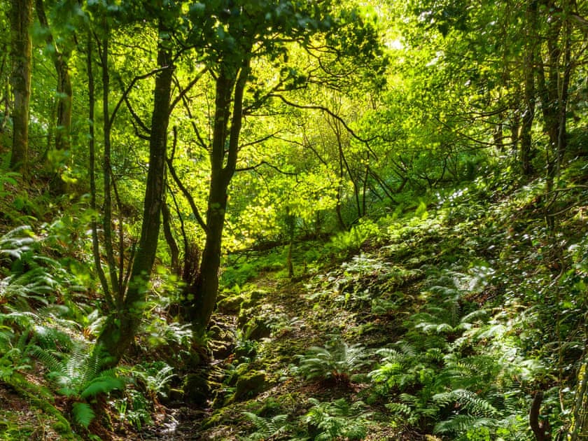 Surrounding area | Haven Heights, Woody Bay, Exmoor
