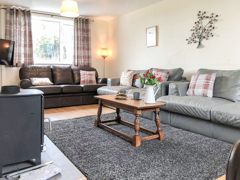 Well presented, comfortable living room | Bryn Boda, Nantglyn, near Denbigh
