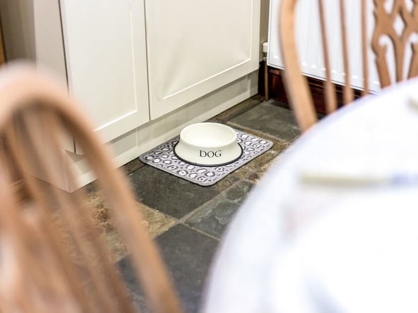 Dog friendly | The Willows, Christchurch