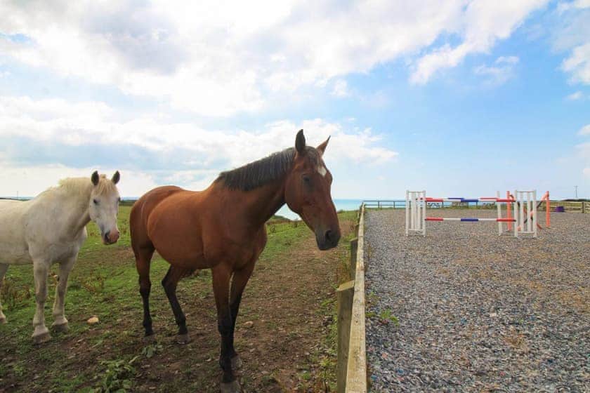 Trequean Barn - Trequean Properties, Helston
