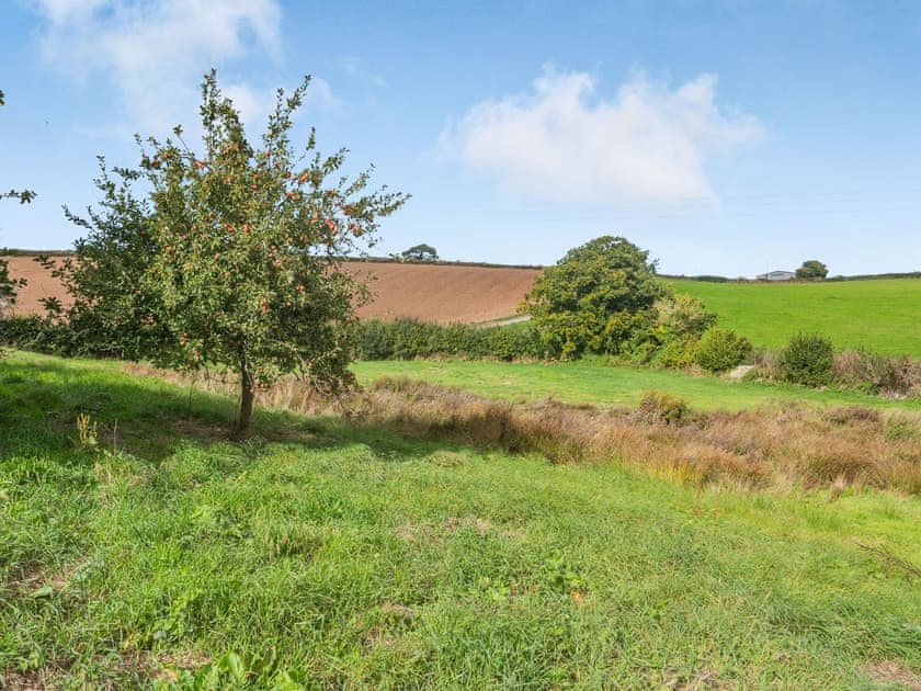 Recreational paddock | Woodbury Farm, Dartmouth