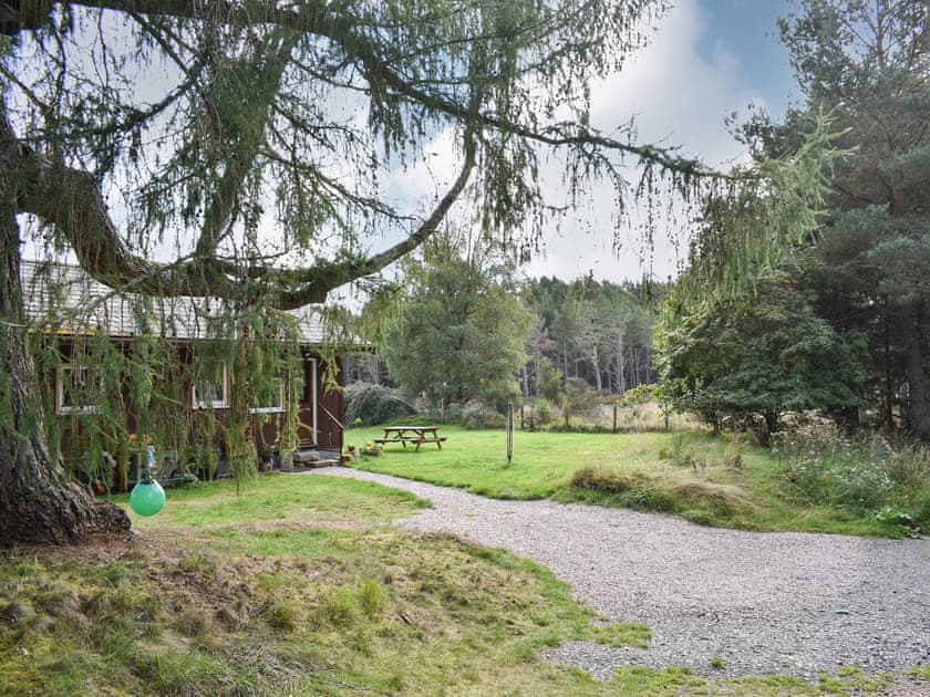 View | The Chalet - Mondhuie Self Catering Chalets, Nethy Bridge