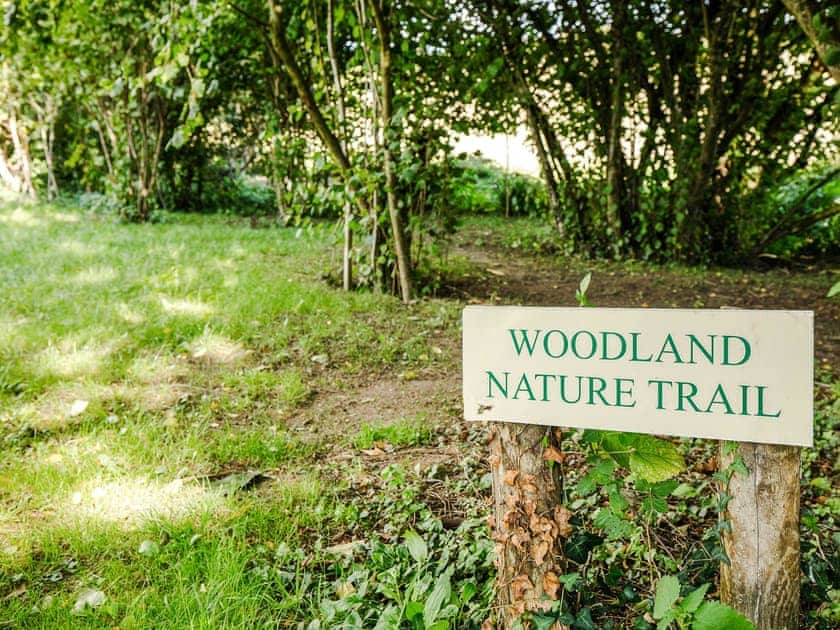 Garden and grounds | Rudge Farm Cottages, Chilcombe, near Bridport