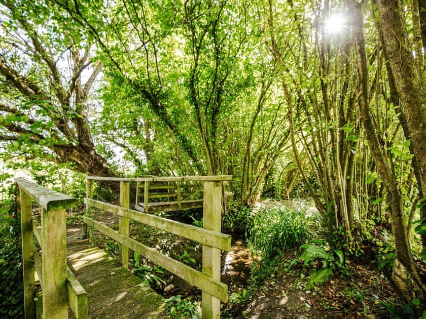 Garden and grounds | Rudge Farm Cottages, Chilcombe, near Bridport