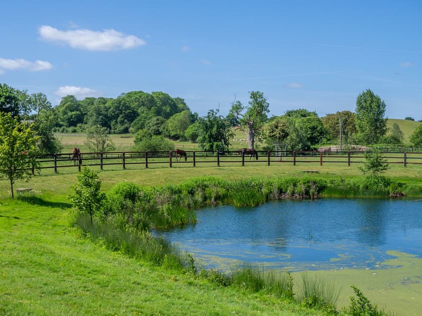 Garden and grounds | The Old Barn - Ash Cottages, Semer, near Hadleigh