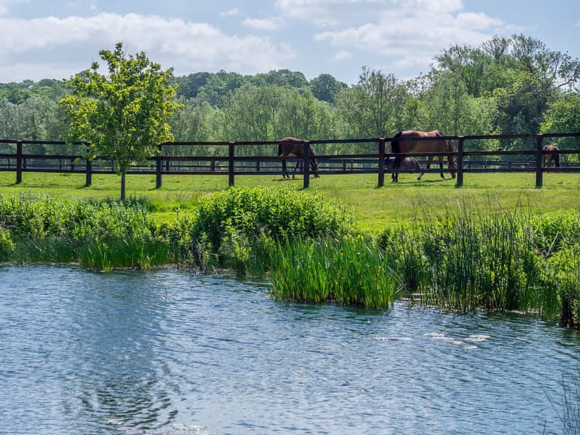 Garden and grounds | The Old Barn - Ash Cottages, Semer, near Hadleigh