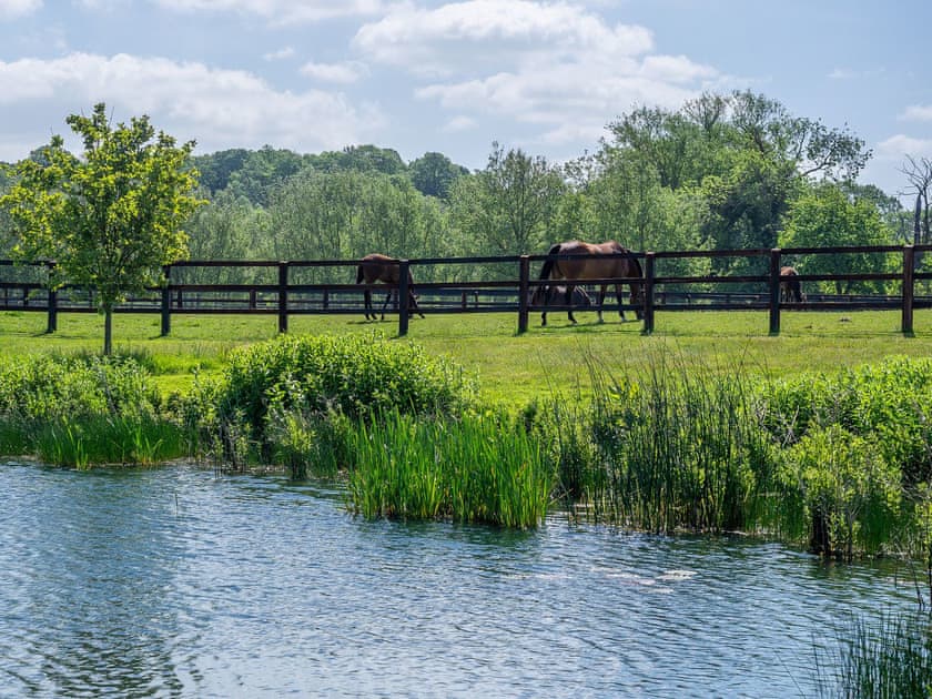 Garden and grounds | Stable Cottage - Ash Cottages, Semer, near Hadleigh