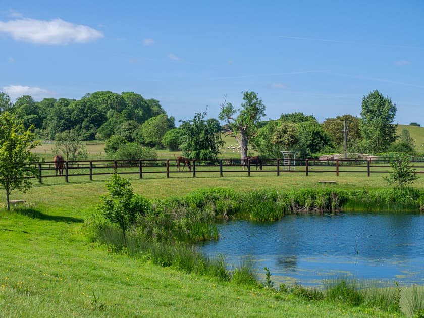 Garden and grounds | Stable Cottage - Ash Cottages, Semer, near Hadleigh