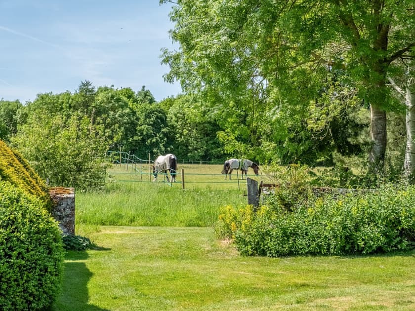 Garden and grounds | The Calf Pens, Layham