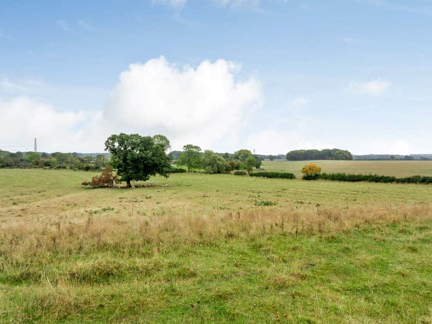 Surrounding area | The Wing at Brook Hall, Wighill, near York