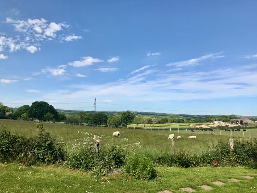 View | Meadowsweet - Treetops Retreats, Hailsham