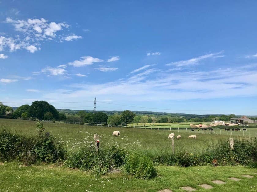 View | Heartsease - Treetops retreat, Hailsham