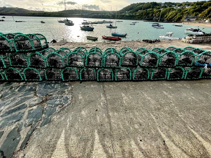 Surrounding area | Seascape, New Quay