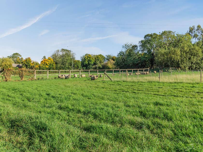 Surrounding area | Converted Stable No 3 - Sorrels Farm , Great Sampford, near Saffron Walden