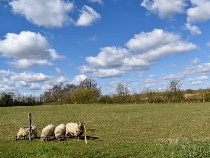 Surrounding area | Converted Stable No 3 - Sorrels Farm , Great Sampford, near Saffron Walden