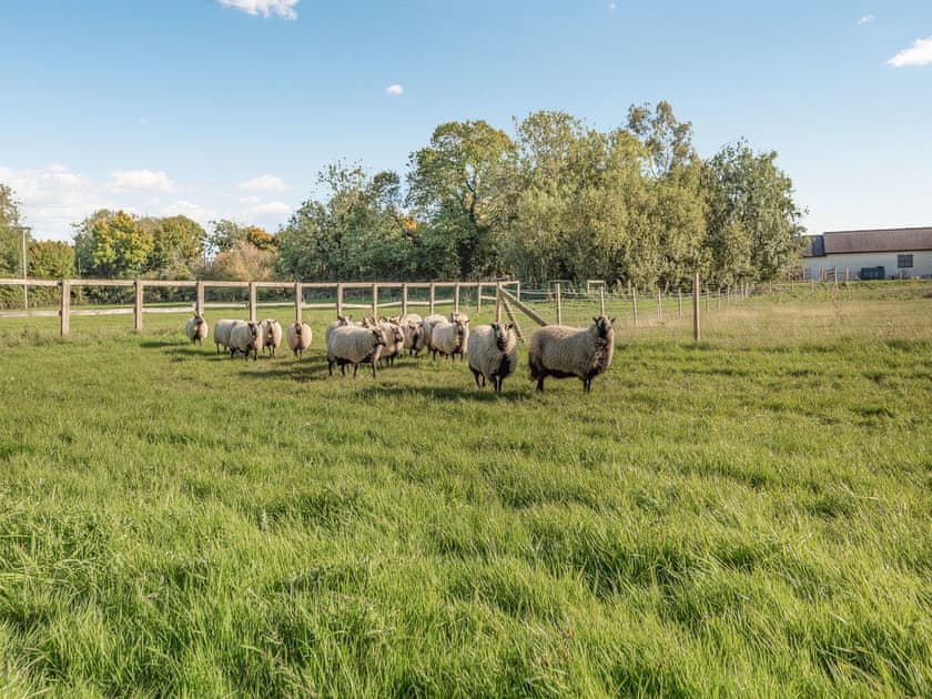Surrounding area | Converted Stable No 2 - Sorrels Farm , Great Sampford, near Saffron Walden