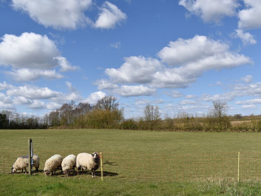 Surrounding area | Converted Stable No 2 - Sorrels Farm , Great Sampford, near Saffron Walden