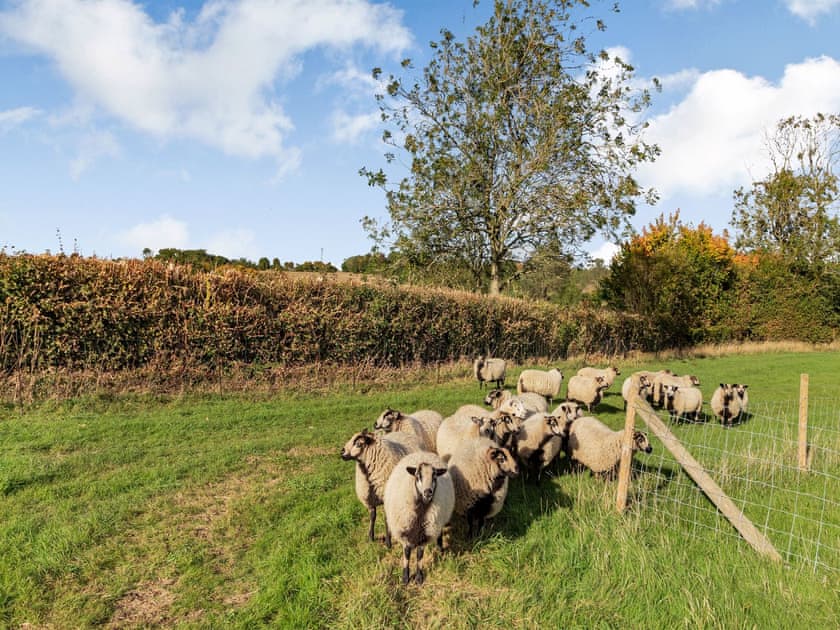 Surrounding area | Converted Stable No 1 - Sorrels Farm , Great Sampford, near Saffron Walden