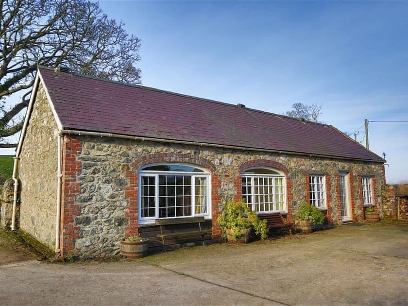 The Apple Tree in Caernarfon