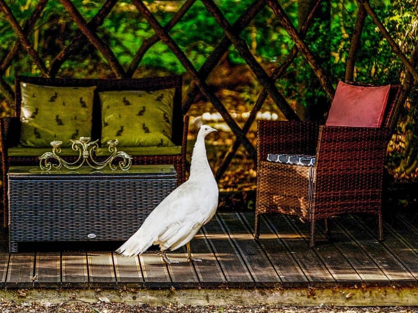 Outdoor area | Daisy - Hollington Park Glamping, Woolton Hill, nr Newbury
