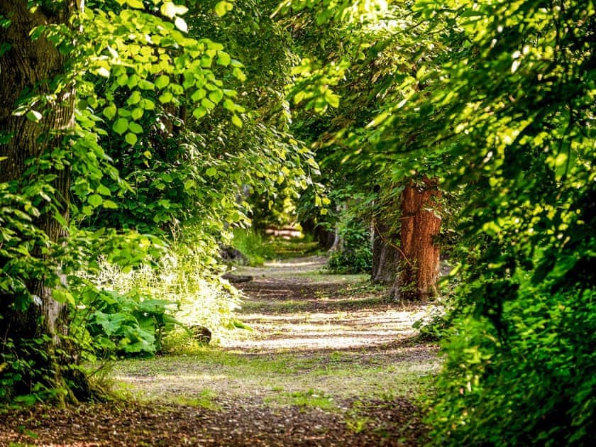 Setting | Daisy - Hollington Park Glamping, Woolton Hill, nr Newbury
