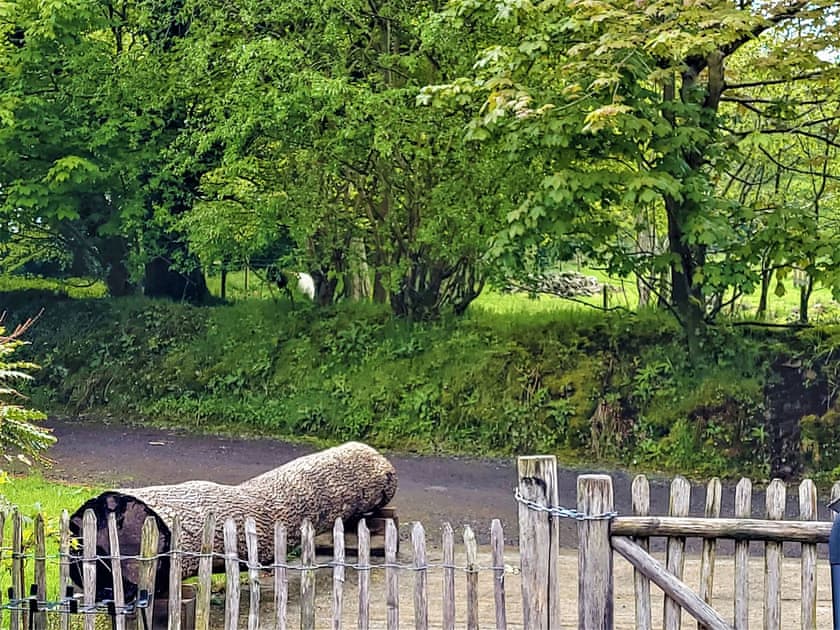 Parking | The Coach House Loft - Dolgoy Cottages, Llangrannog