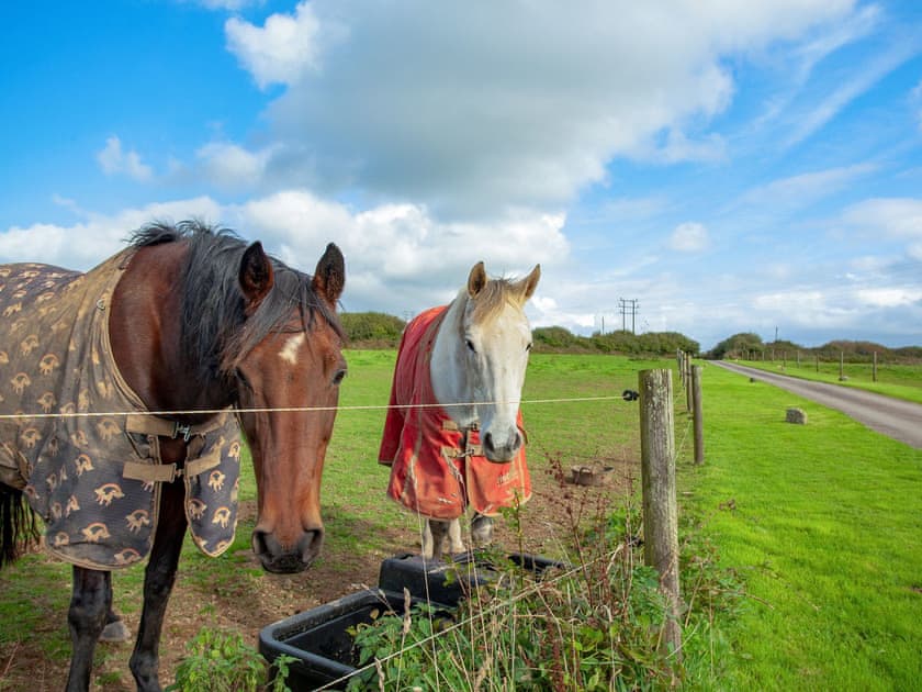 Surrounding area | The Tiny Store, Lanivet, near Bodmin