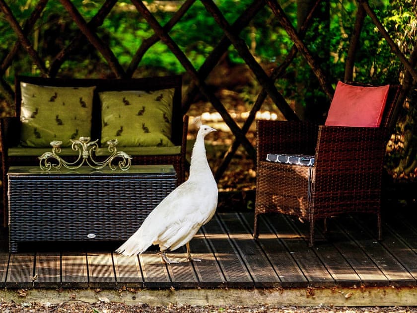 Outdoor area | Bedouin - Hollington Park Glamping, Woolton Hill, nr Newbury