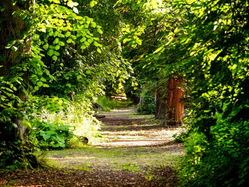 Garden and grounds | Bedouin - Hollington Park Glamping, Woolton Hill, nr Newbury