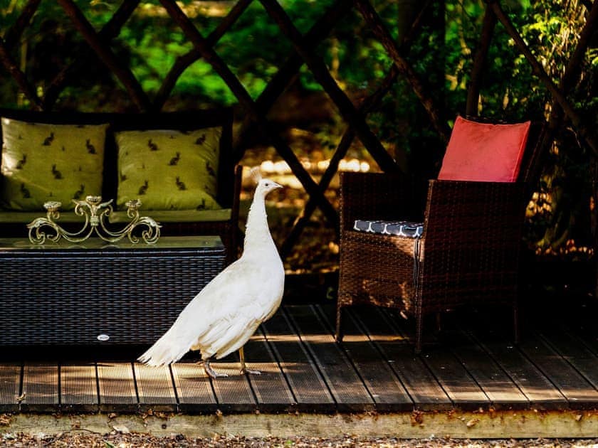 Garden and grounds | Moroccan - Hollington Park Glamping, Woolton Hill, nr Newbury