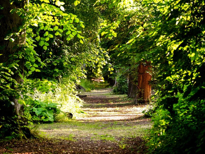 Setting | Moroccan - Hollington Park Glamping, Woolton Hill, nr Newbury