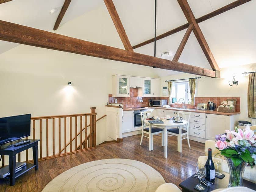 Open plan living space | The Corn House - Hanley Farm, Hook-a-Gate, near Shrewsbury
