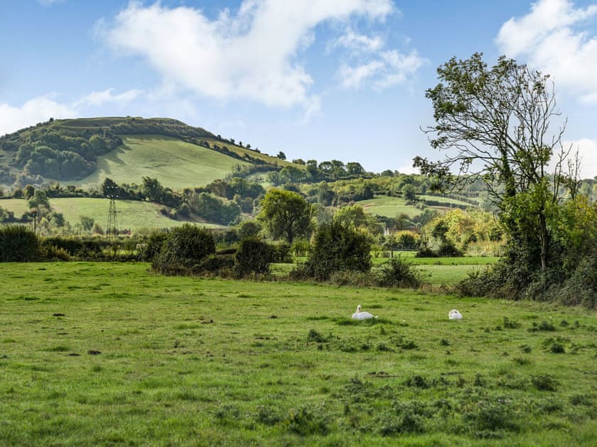Surrounding area | Horseshoe Cottage, Lympsham