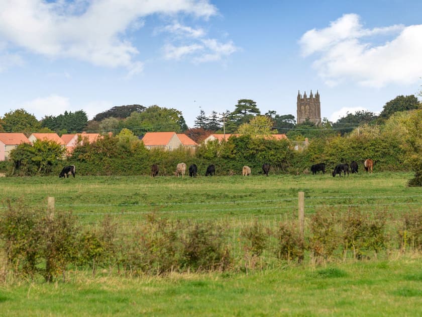 Surrounding area | Apple Cottage, Lympsham