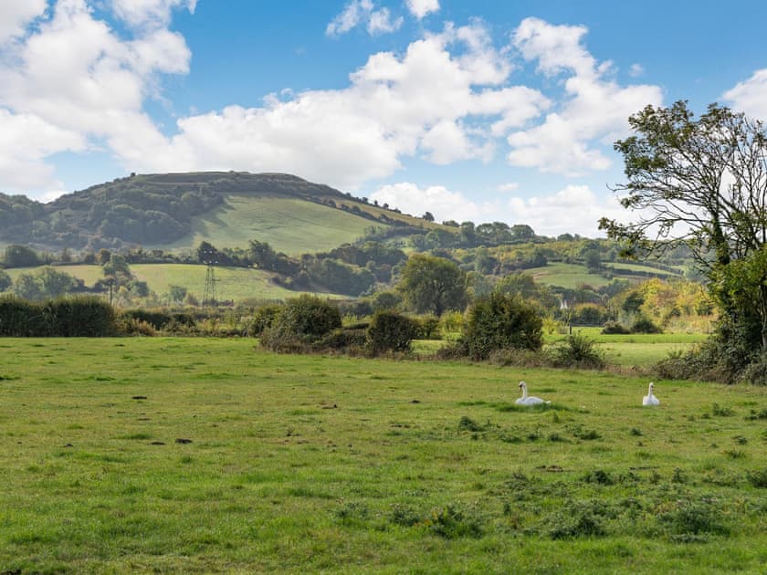 Surrounding area | Apple Cottage, Lympsham